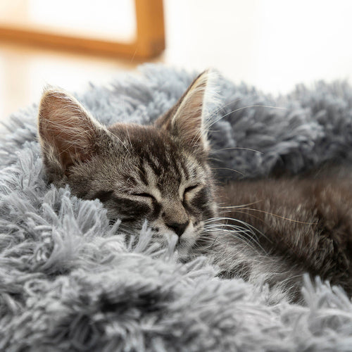 Bed for Dogs Gloria CALMING NEST